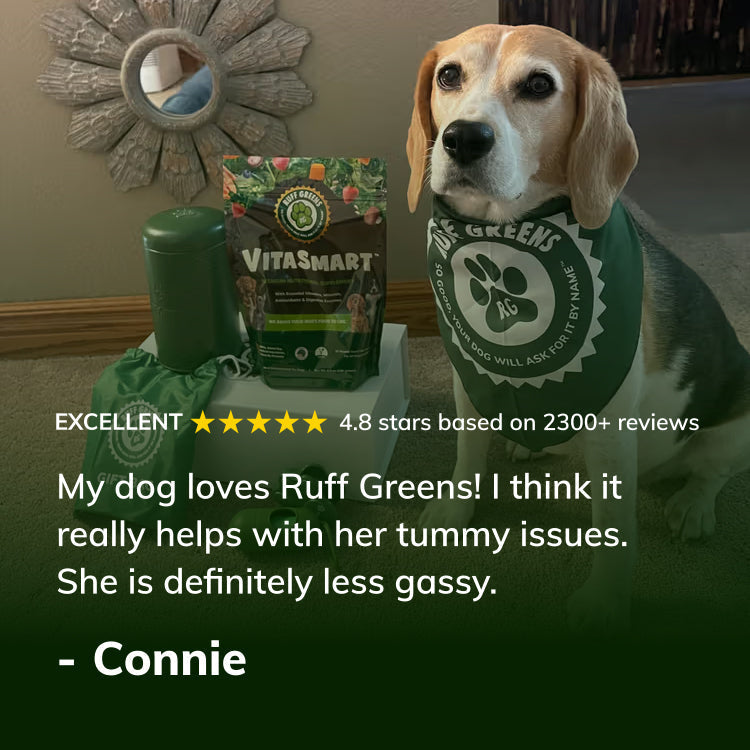 Dog Superfood Vitamin and Probiotic Supplement product image 4
