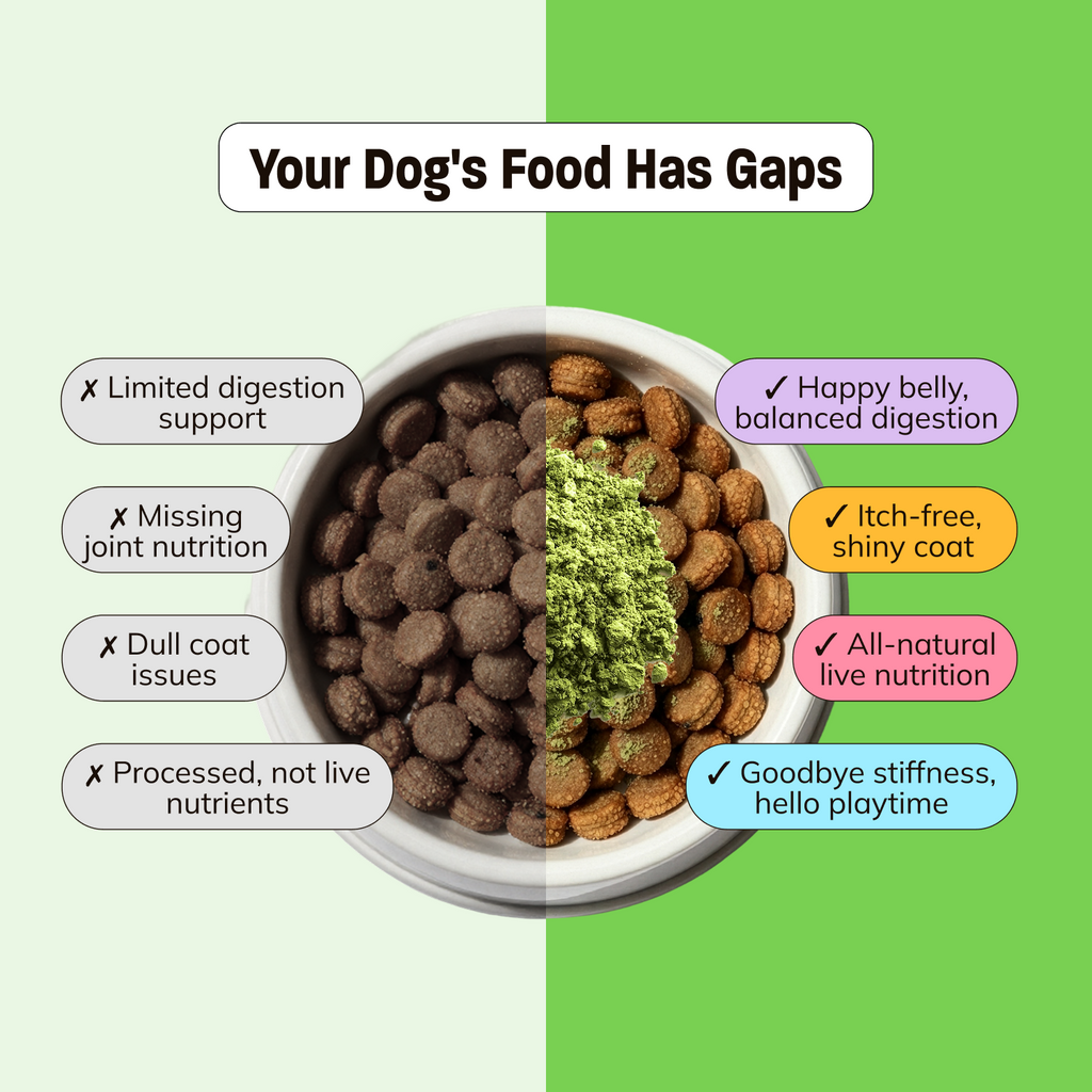 Dog Superfood Vitamin and Probiotic Supplement product image 5