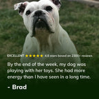 Dog Superfood Vitamin and Probiotic Supplement product image 6