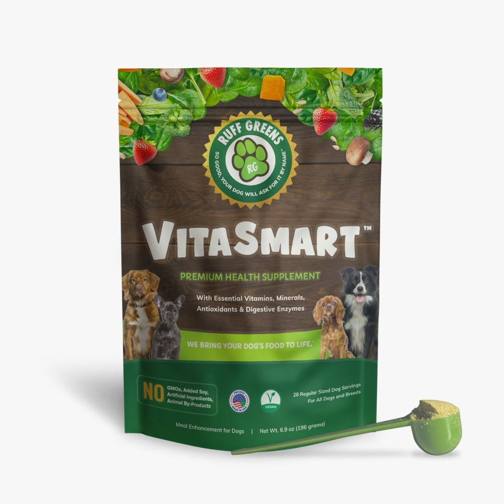 Dog Superfood Vitamin and Probiotic Supplement, Regular