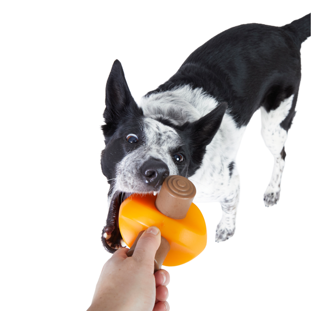Dog Toys product image 2