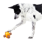 Dog Toys product image 3