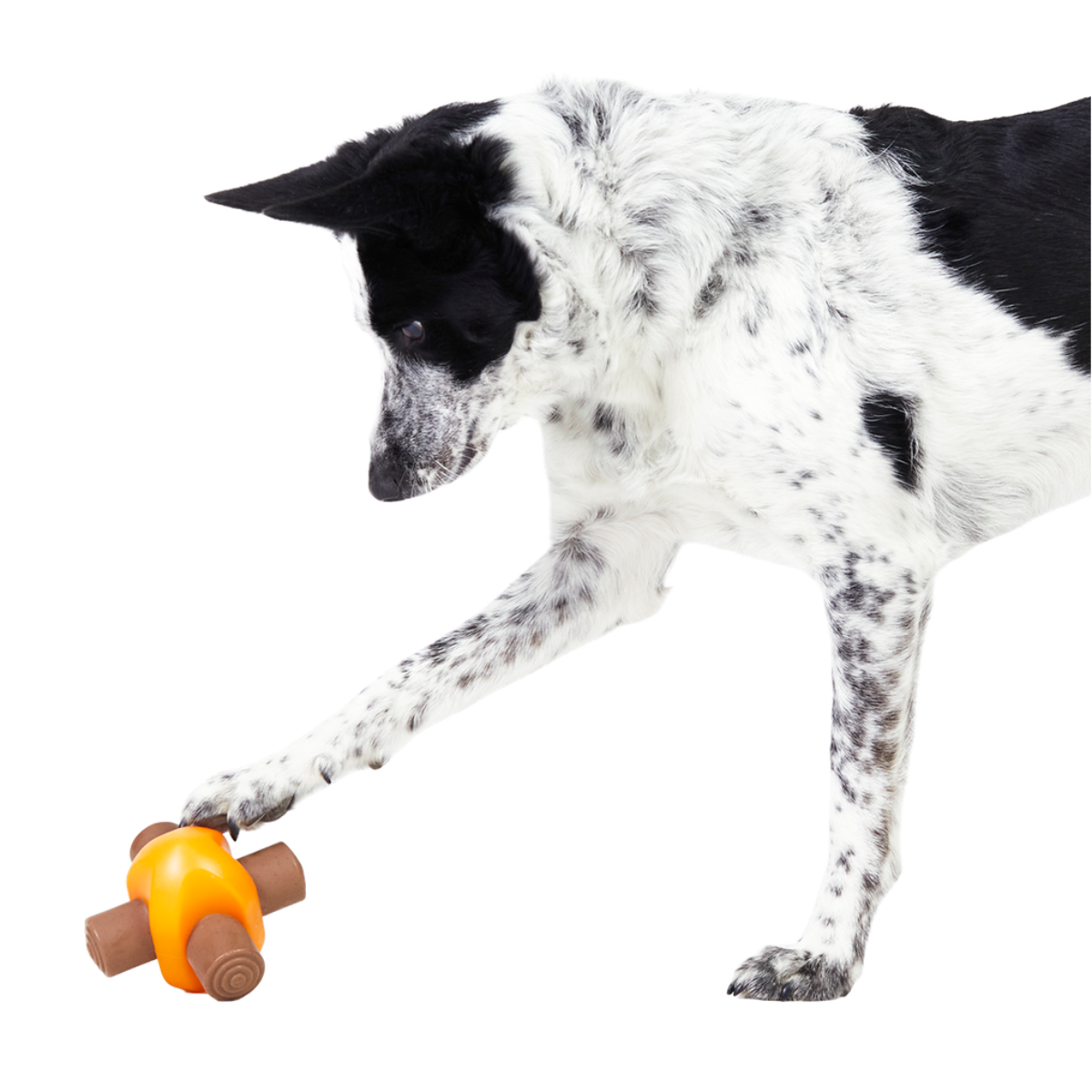 Dog Toys product image 3