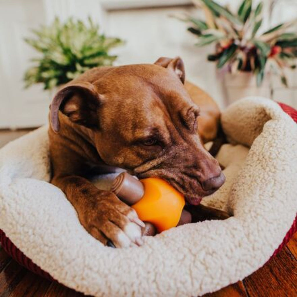 Dog Toys product image 4