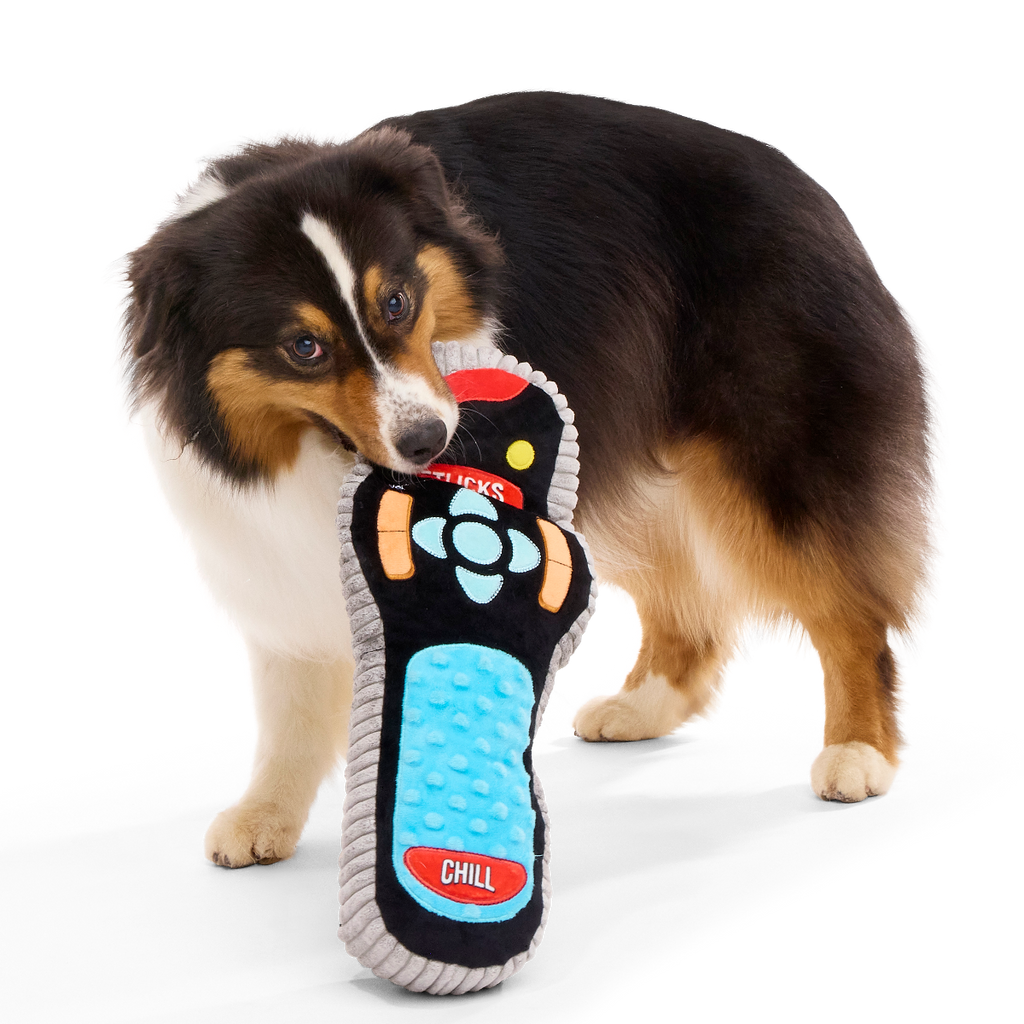 Plush Squeaker Dog Toy product image 1