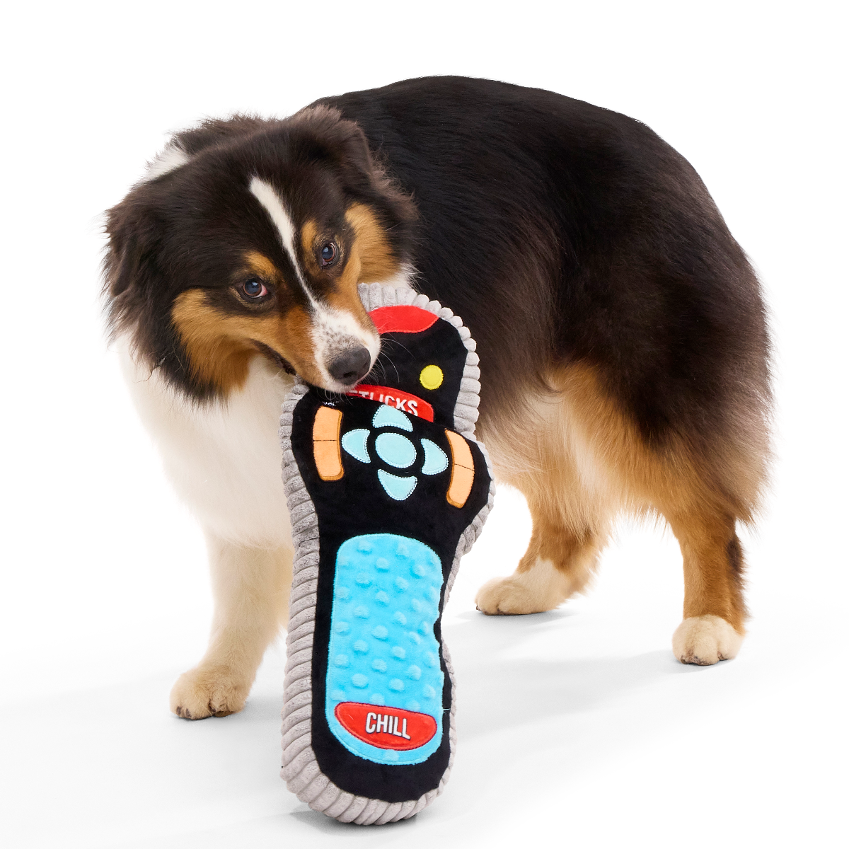 Plush Squeaker Dog Toy product image 1