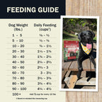Feeding Guide