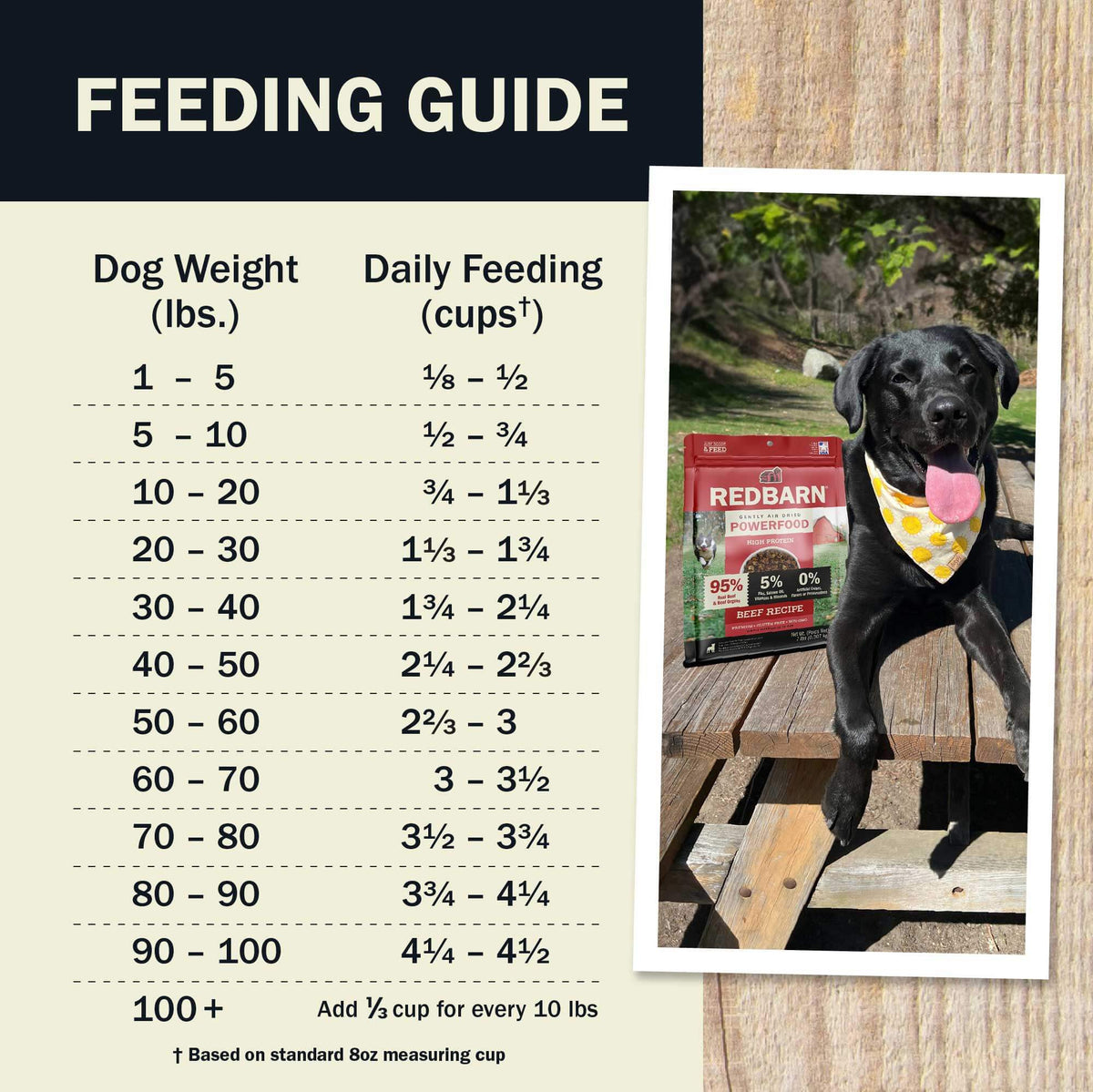 Feeding Guide