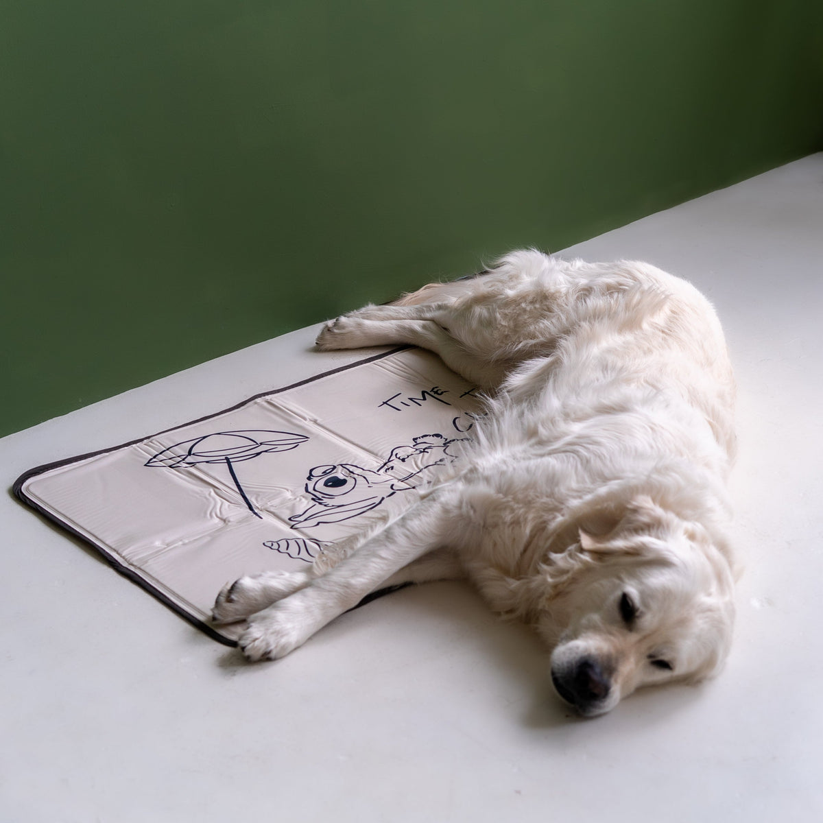 Pressure-Activated Cooling Pet Pad product image 1