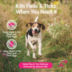 Flea & Tick Spray product image 2