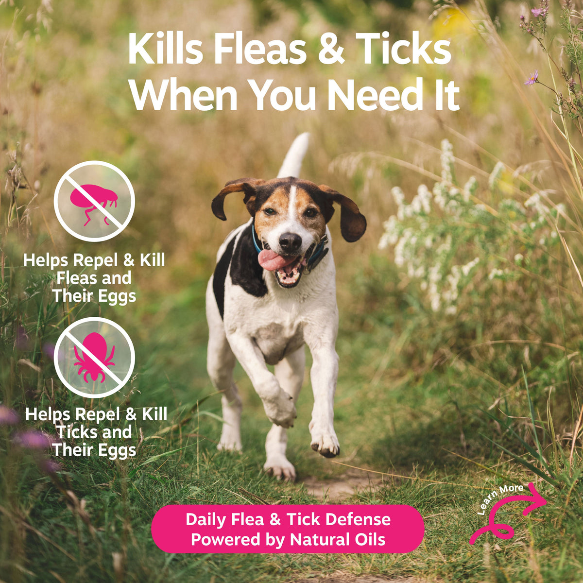 Flea & Tick Spray product image 2