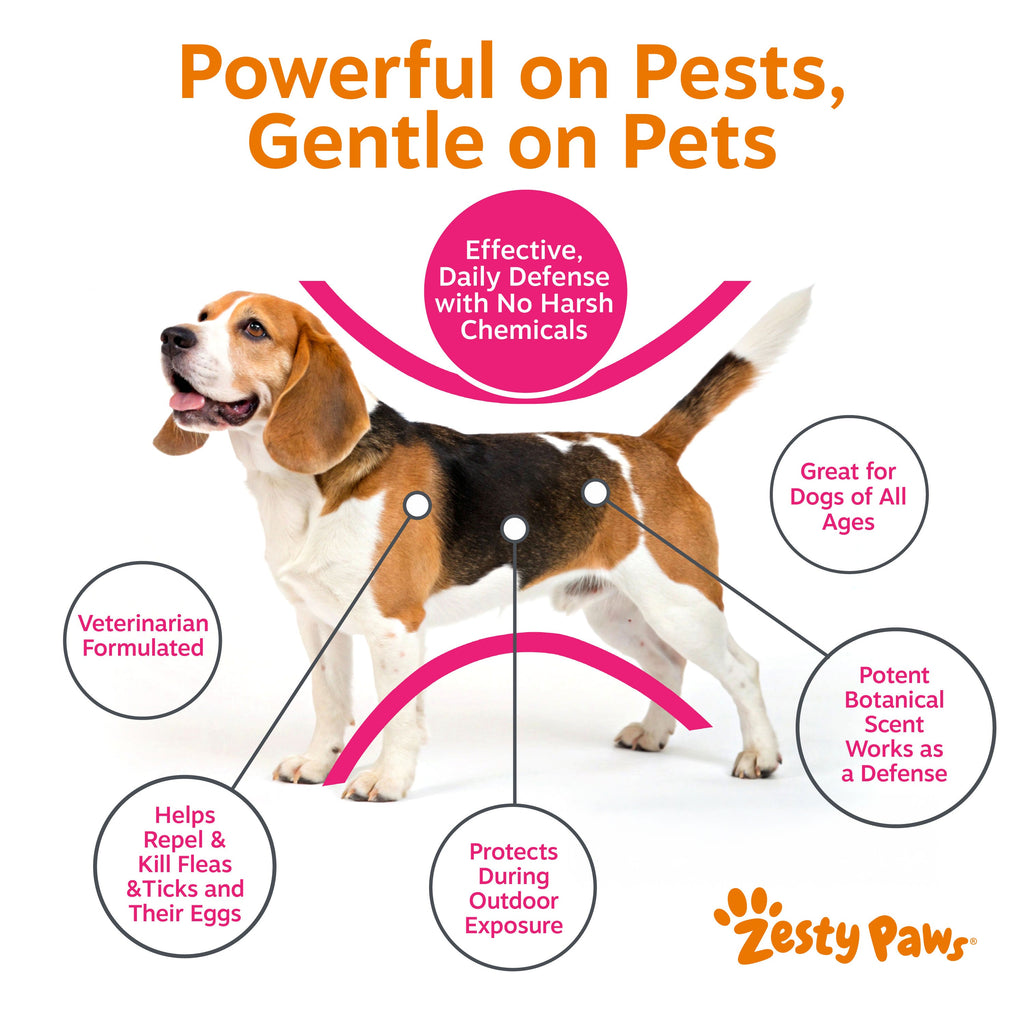 Flea & Tick Spray product image 3