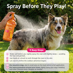 Flea & Tick Spray product image 4