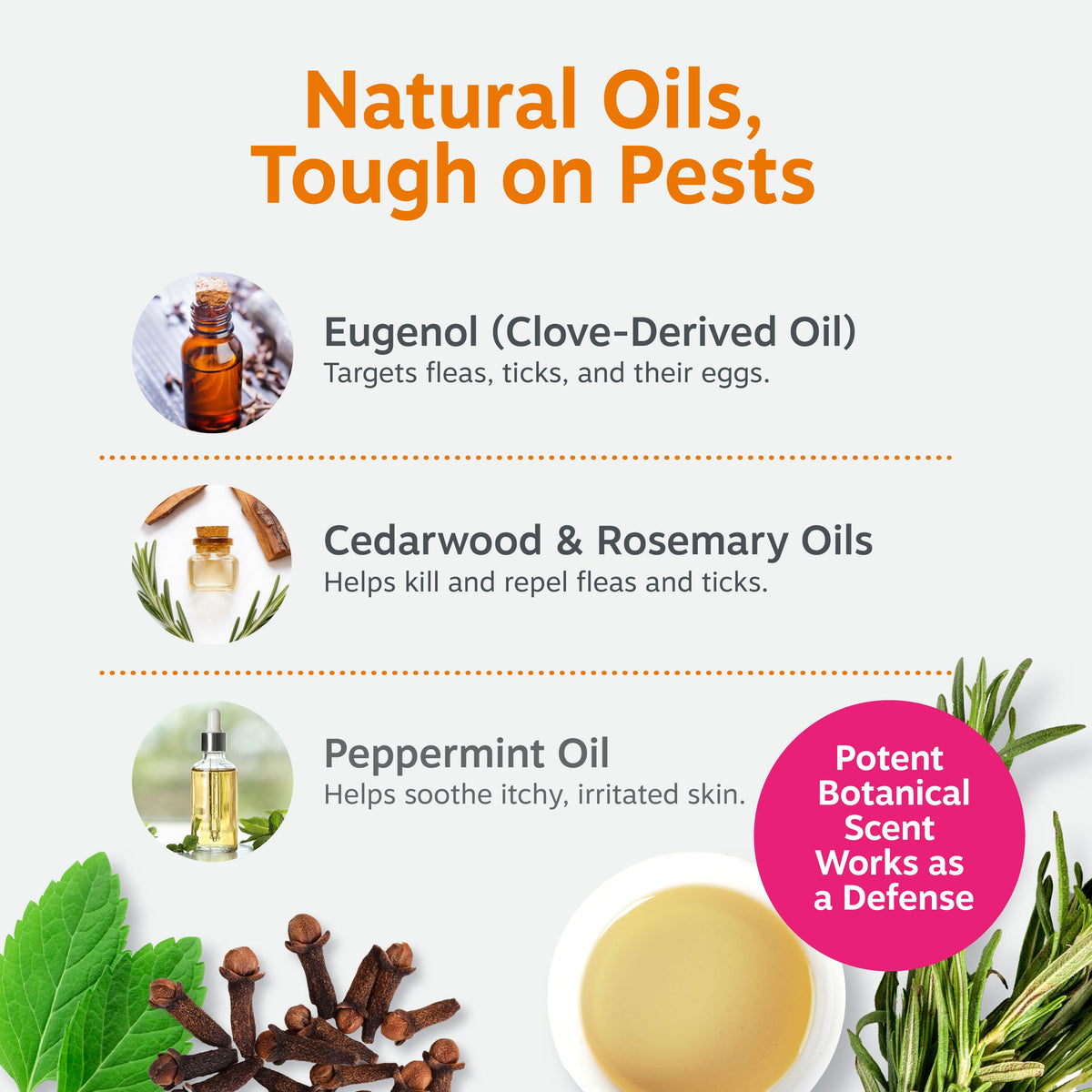 Flea & Tick Spray product image 5