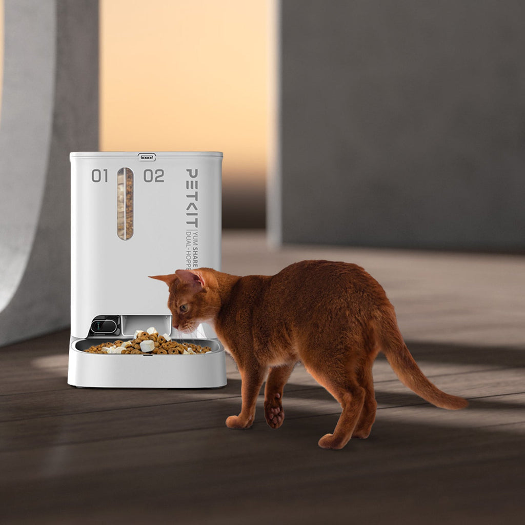 Automatic Cat Feeder product image 2