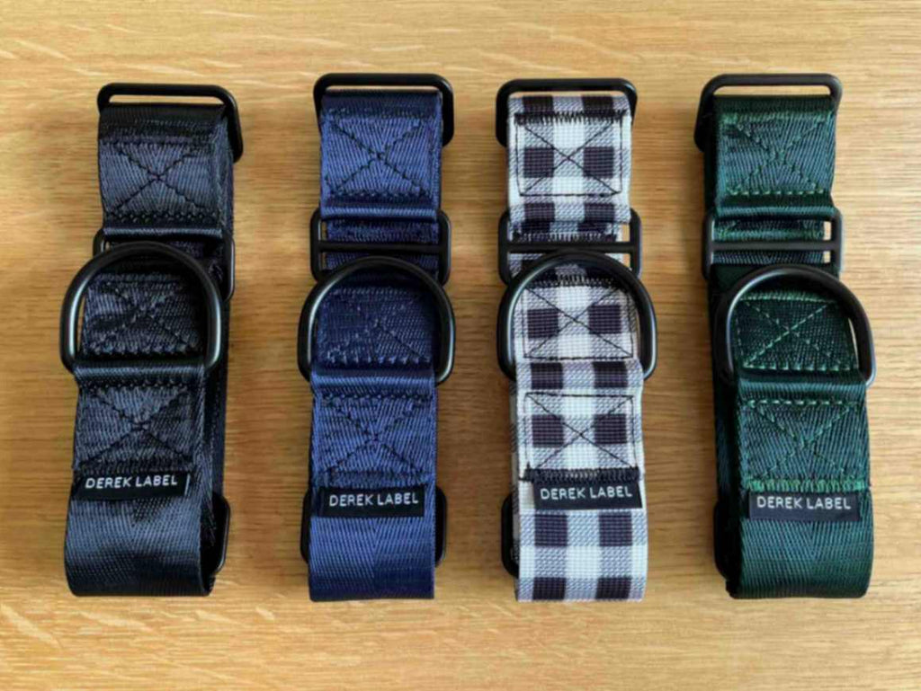 Martingale Dog Collar product image 3