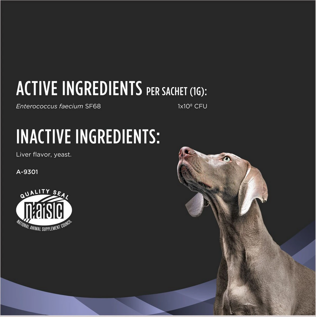 Dog Probiotic Powder product image 8