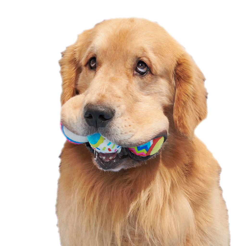 Dog Toys product image 2