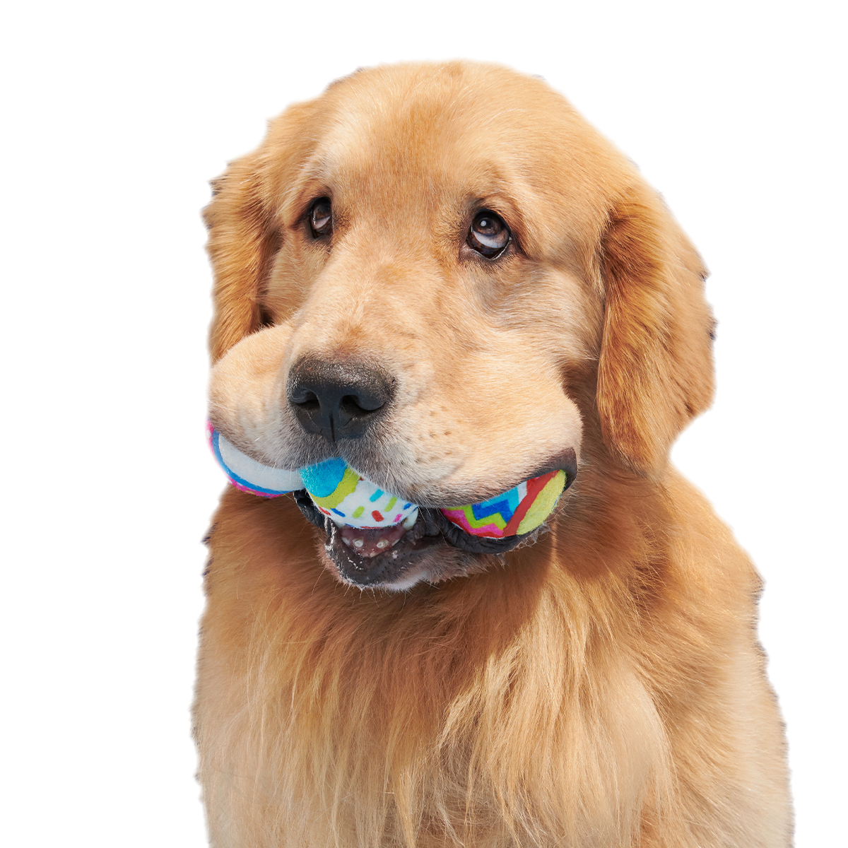 Dog Toys product image 2