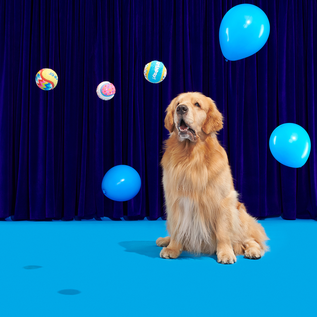 Dog Toys product image 3