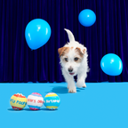 Dog Toys product image 5