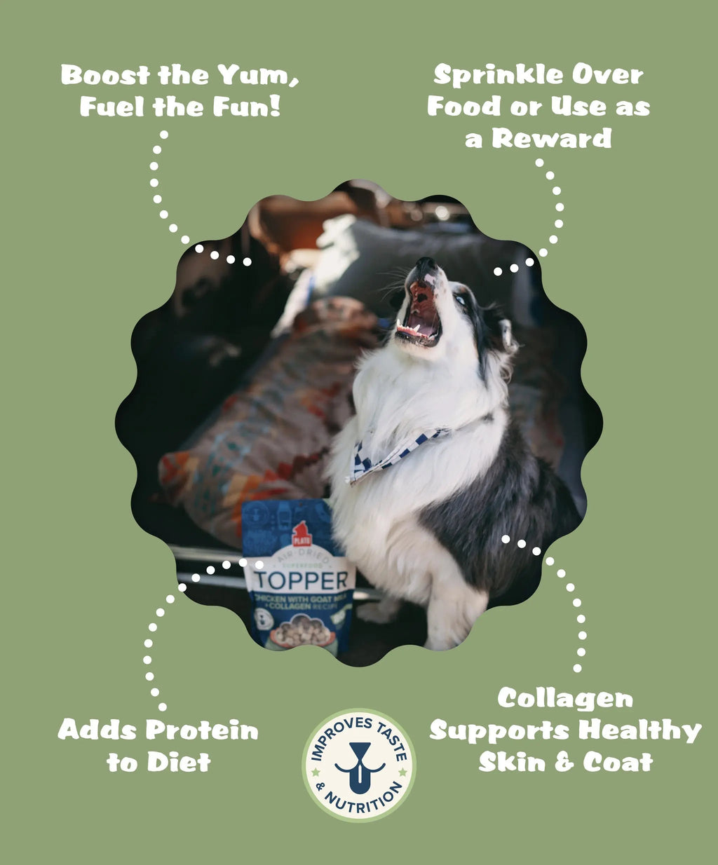 Pet Food Topper product image 4