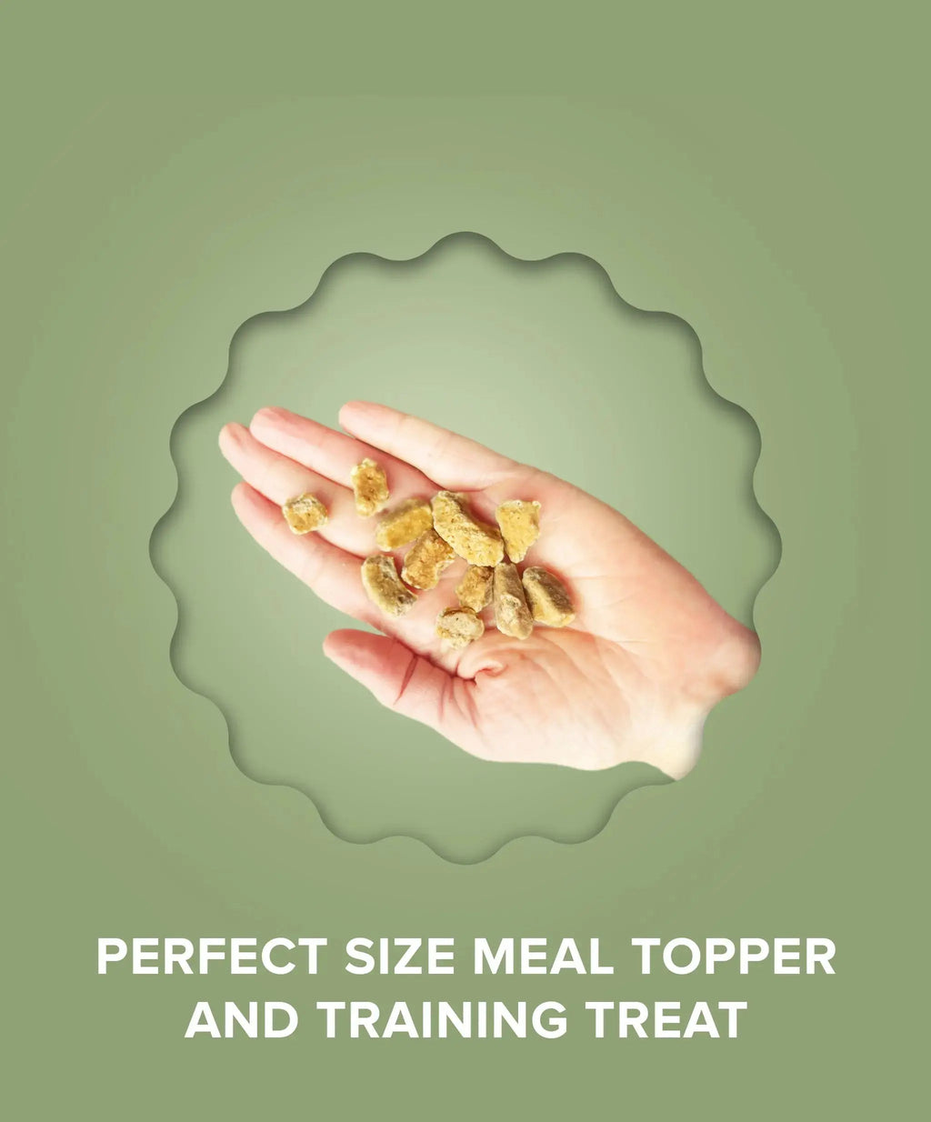 Pet Food Topper product image 6