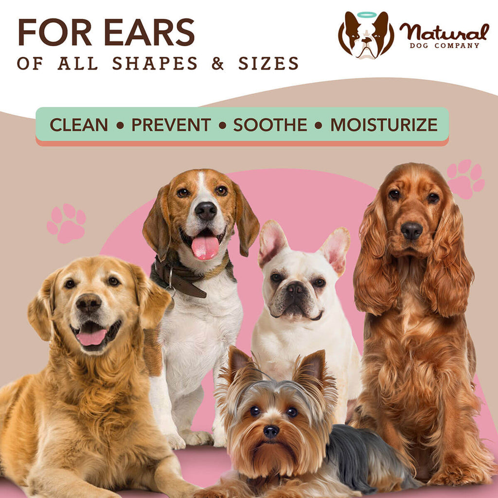 Dog Ear Cleaning Wipe Pack product image 6