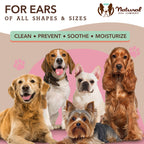 Dog Ear Cleaning Wipe Pack product image 6