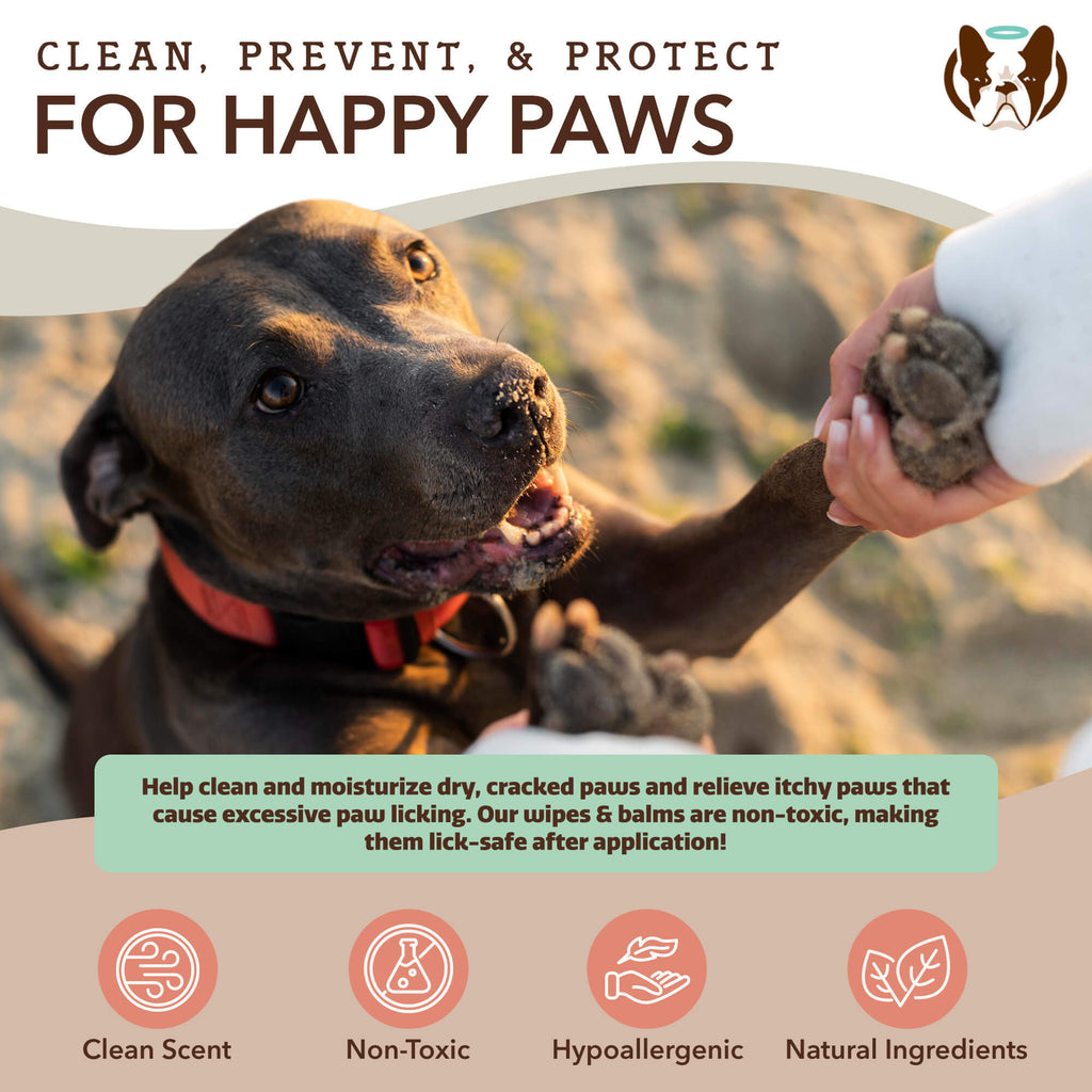 Paw Cleaning Wipes product image 4