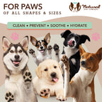 Paw Cleaning Wipes product image 6