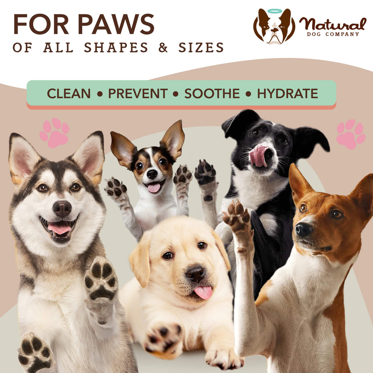 Paw Cleaning Wipes product image 6