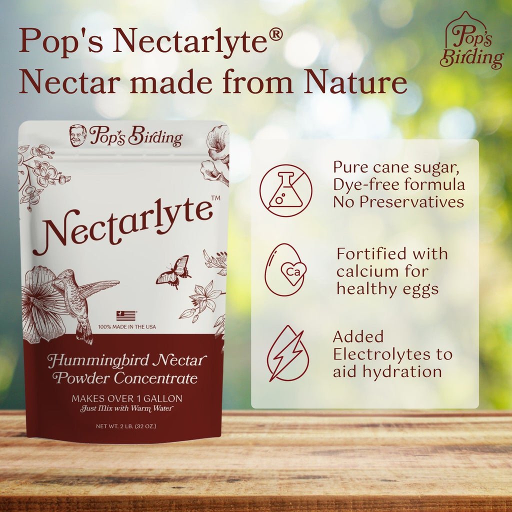 Hummingbird Nectar Concentrate product image 2