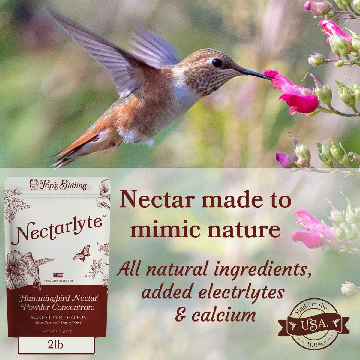 Hummingbird Nectar Concentrate product image 3