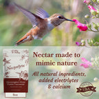Hummingbird Nectar Concentrate product image 10