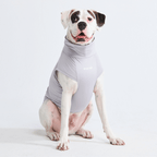 UPF 30 Dog Sun Shirt product image 24