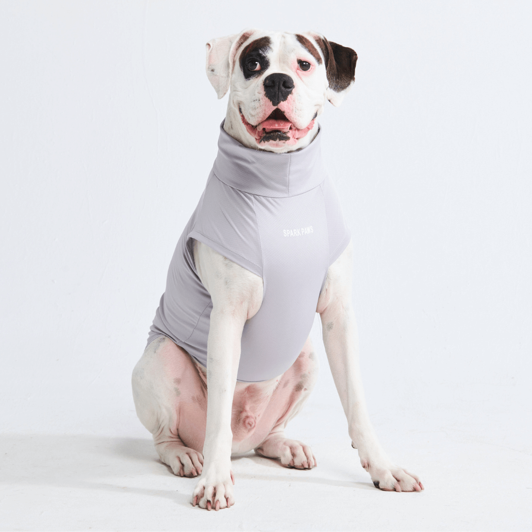 UPF 30 Dog Sun Shirt product image 24