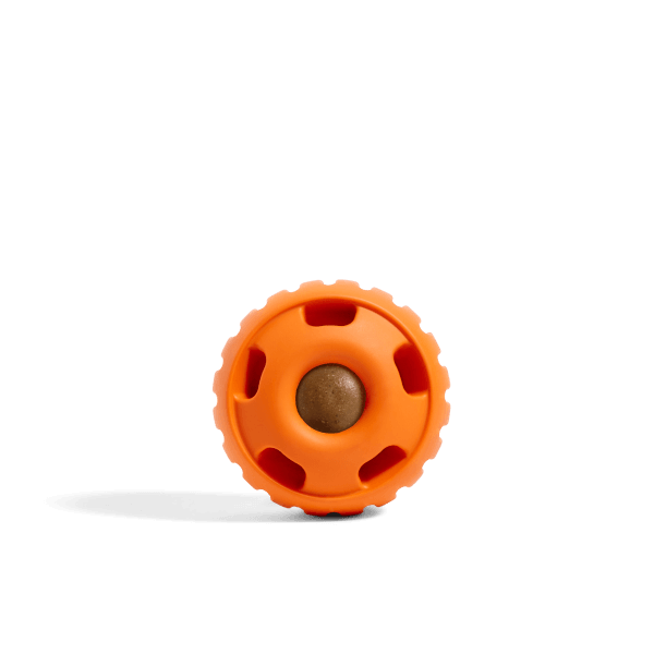 Fillable Dog Enrichment Toy, Pumpkin / Small