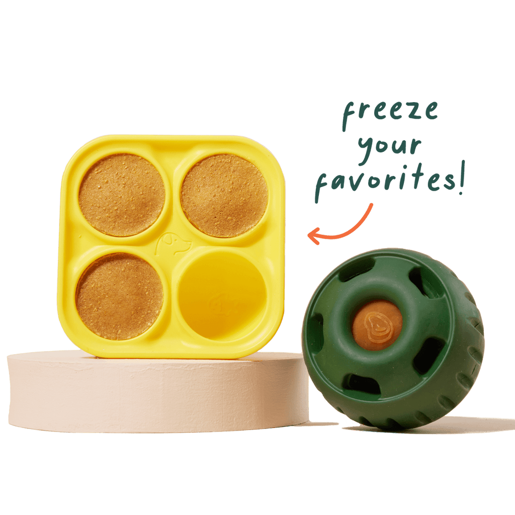 Freezable Dog Treat Mold product image 1