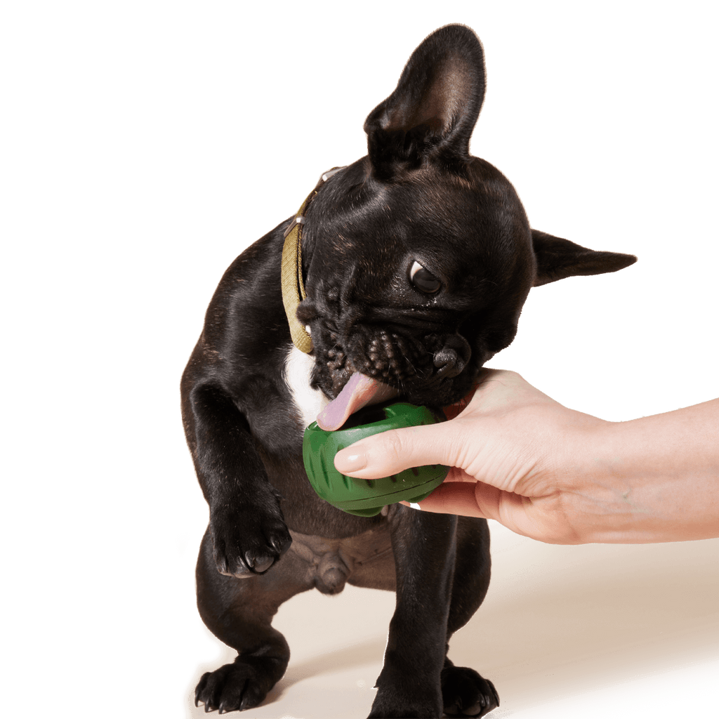 Freezable Dog Treat Mold product image 4