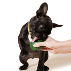 Freezable Dog Treat Mold product image 4