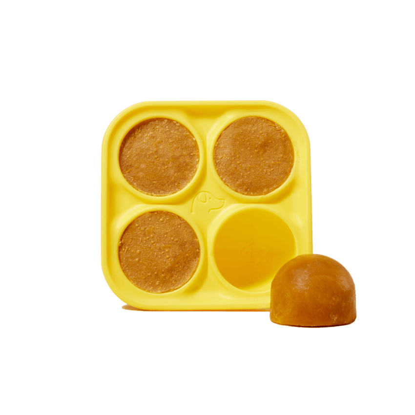 Freezable Dog Treat Mold, Large