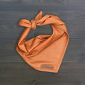 Dog Cooling Bandana product image 1
