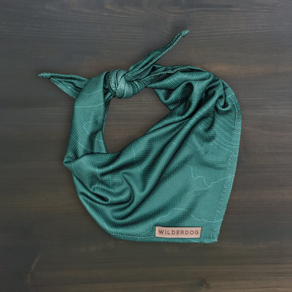 Cooling Dog Bandana product image 1