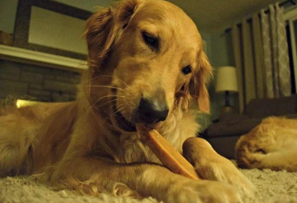 Yak Dog Chew product image 9