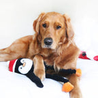 Crinkle Dog Toy product image 2