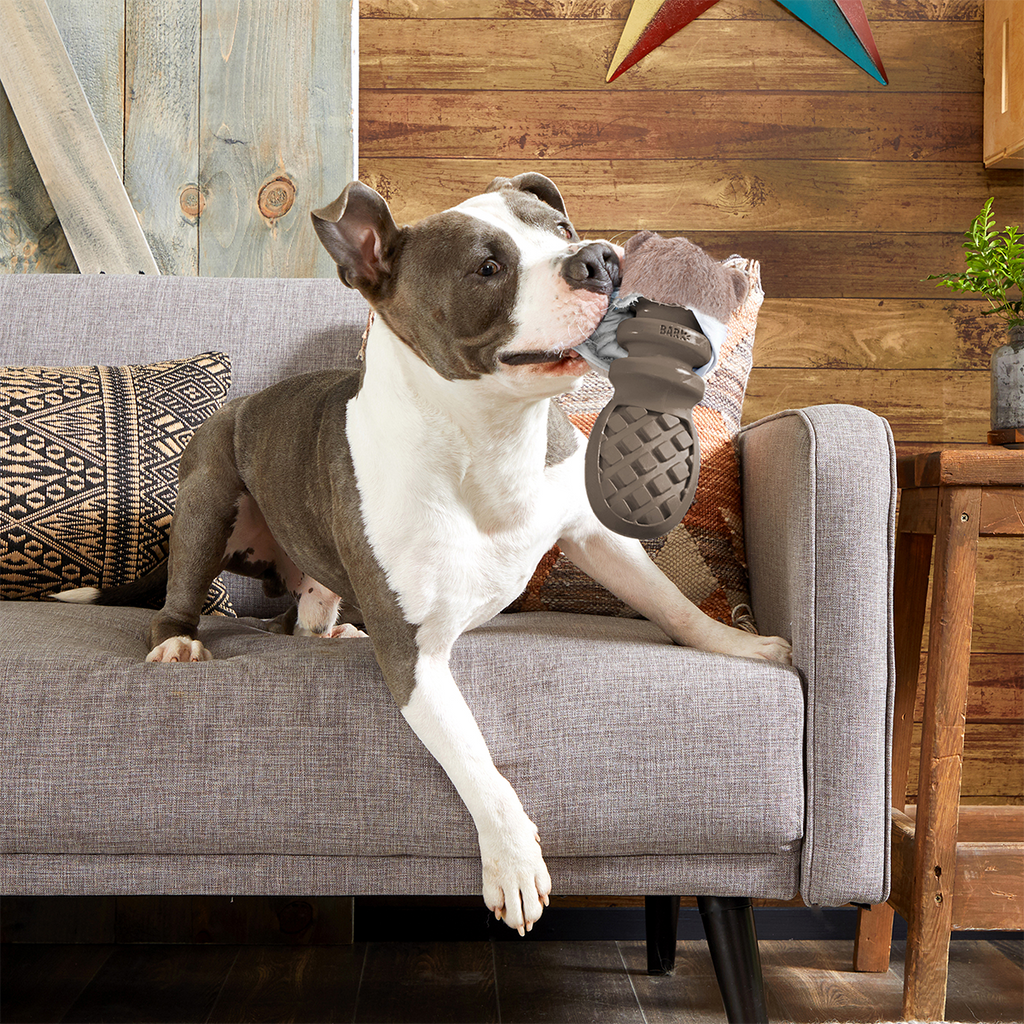 Dog Toys product image 3