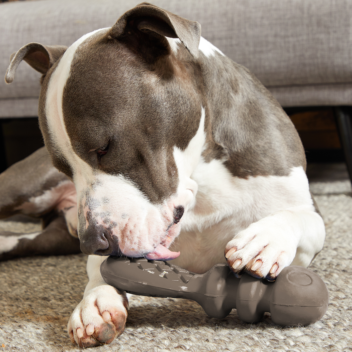 Dog Toys product image 4