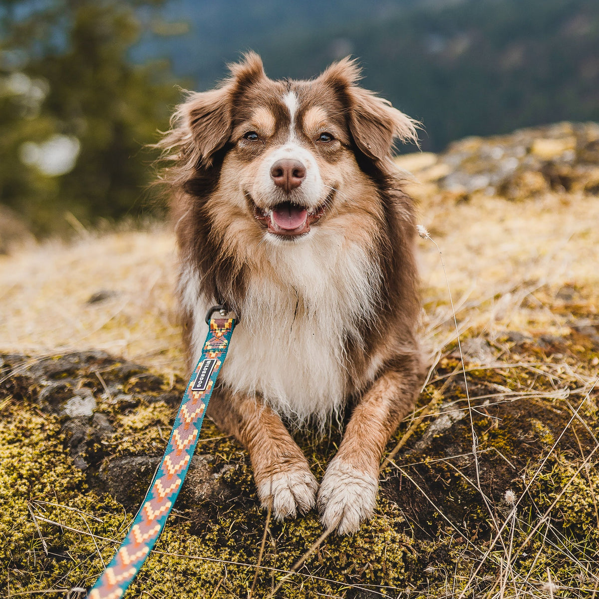 Ultralight Dog Leash product image 3