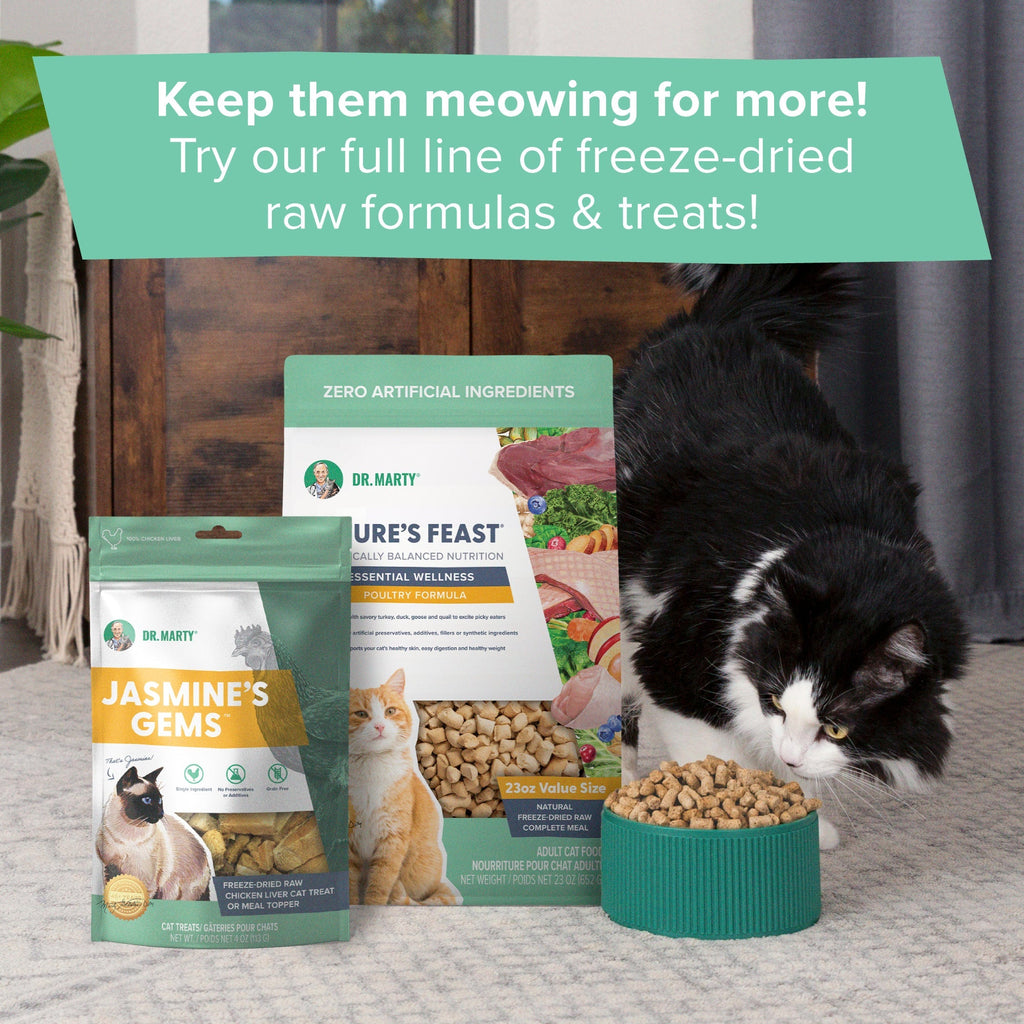 Freeze-Dried Raw Cat Food product image 11